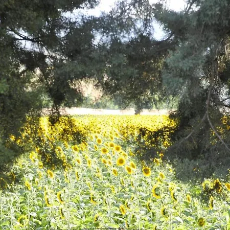 By With Garden Views Cingoli