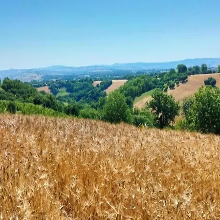 By With Garden Views * Cingoli